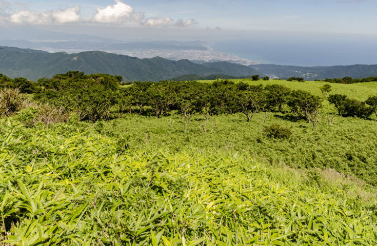 273 - Hakone - monte Komagatake - panoramica